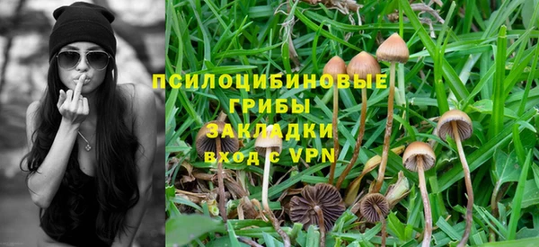 MDMA Медногорск