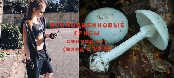 MDMA Медногорск