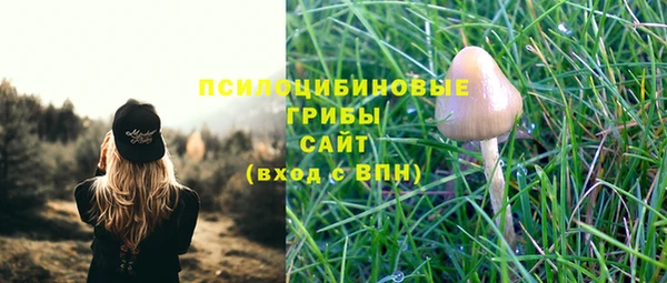 эйфоретик Медвежьегорск