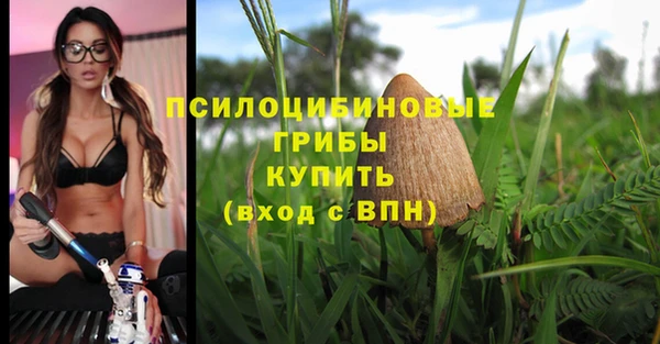 MDMA Медногорск
