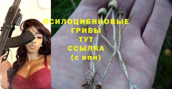 эйфоретик Медвежьегорск